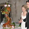 Friends' pics : 