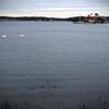 andersonhelsinki > Springtime in Finland >  Tammisaari, Finl