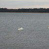 andersonhelsinki > Springtime in Finland >  Tammisaari, Finl