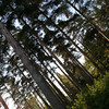 andersonhelsinki > Kouvola, Finl.